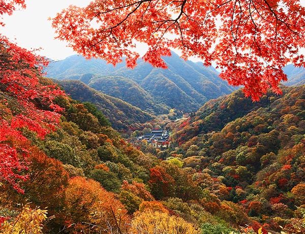 內藏山國家公園