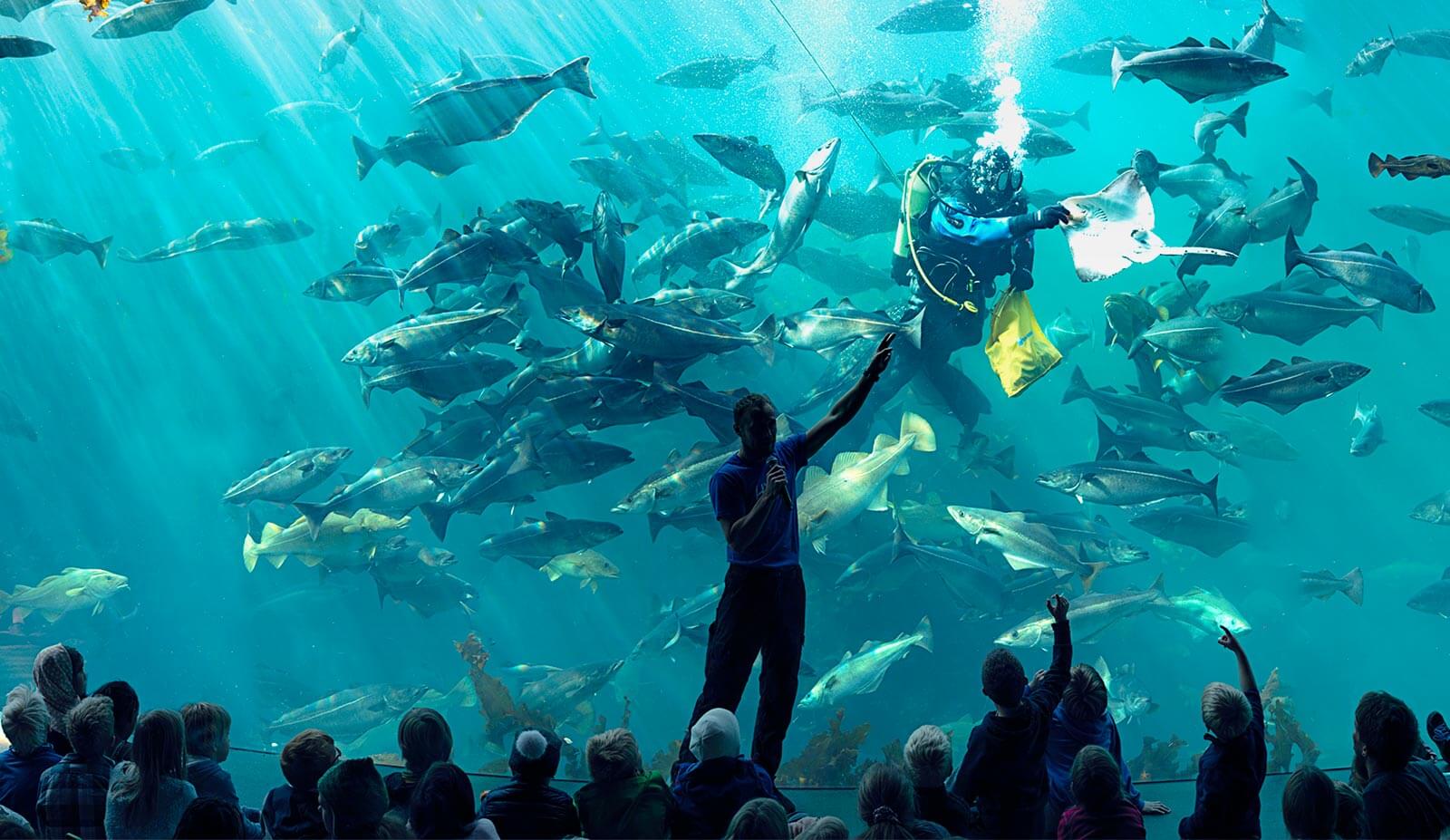 奥勒松大西洋海洋公園Atlanterhavsparken / Atlantic Sea-Park